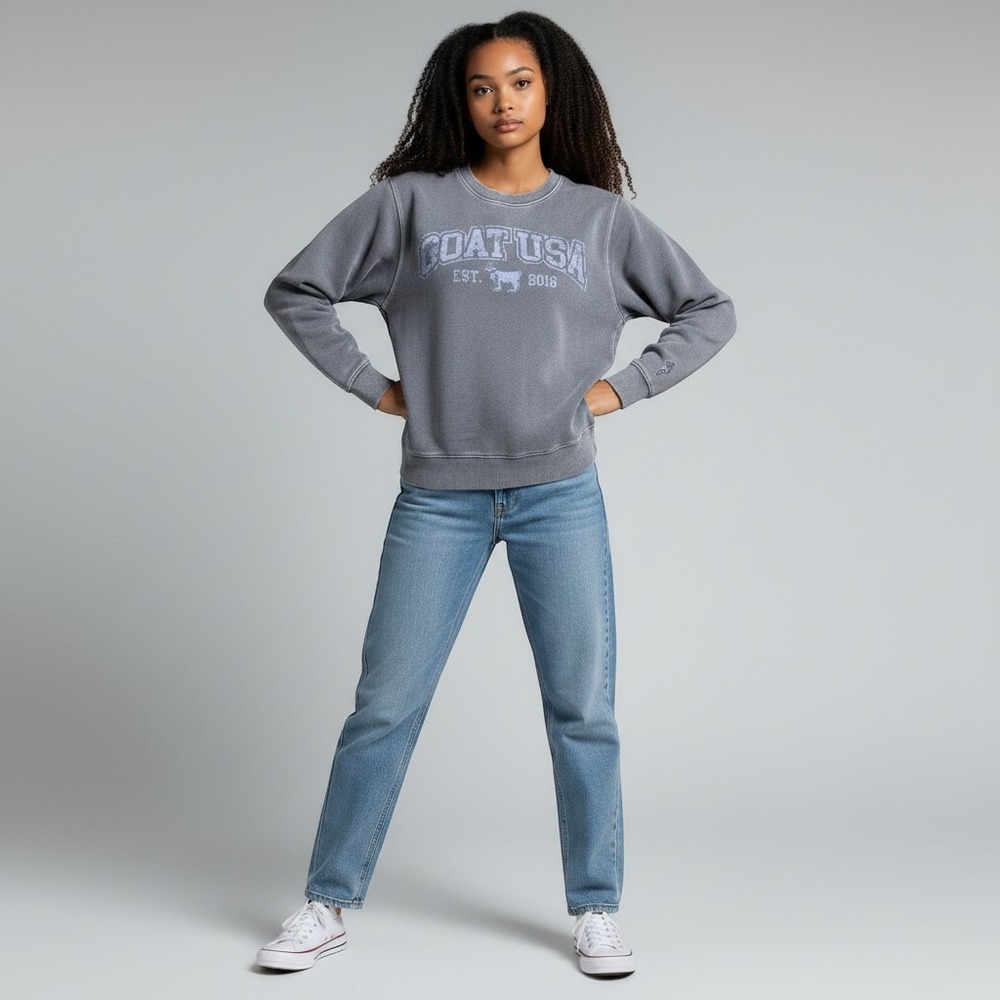 GOAT USA Blue Grey Graphic Sweatshirt Vintage Wash Womens‎ S Athleisure Relaxed